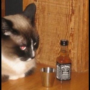 Meet your Posher, Thisbeautiful